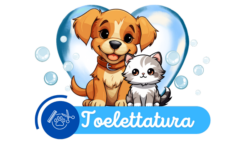 Toelettatura